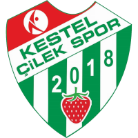 Kestel Cilekspor